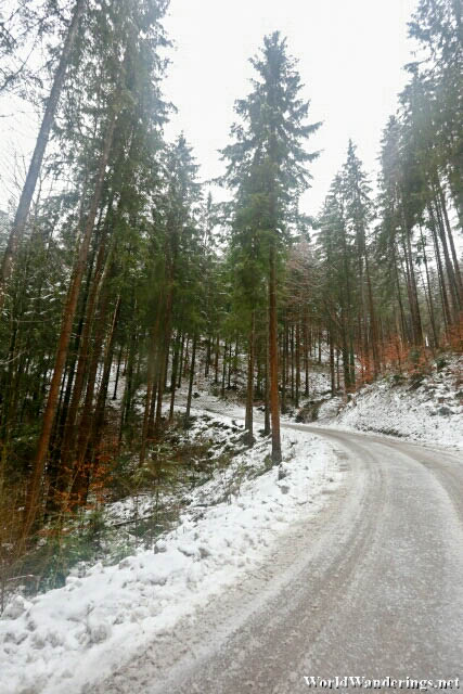 Ice Covered Trail Going Up the Hill in Werfen