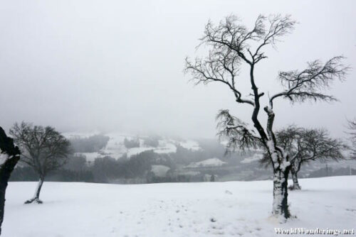 This is Supposedly Where the View is in Werfen