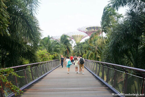 Crossing the Bridge to the Gardens by the Bay