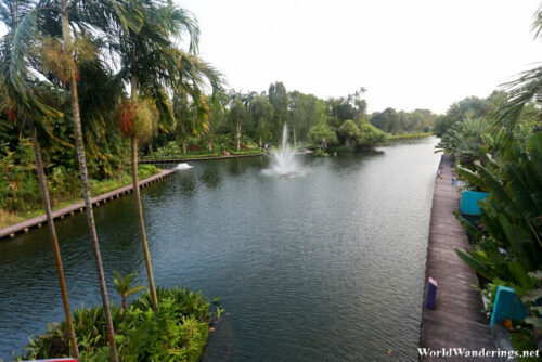 Canal at the Gardens by the Bay