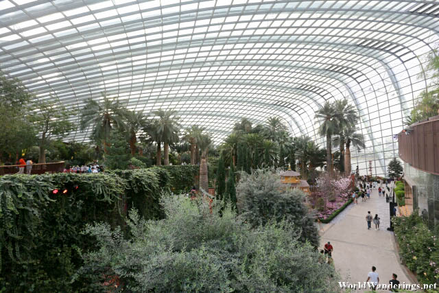 Inside the Flower Dome at the Gardens by the Bay