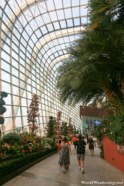 Inside the Flower Dome at the Gardens by the Bay