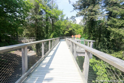 Tree Top Walkway at Avondale