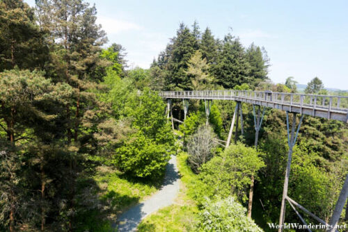 Tree Top Walk at Avondale Forest Park