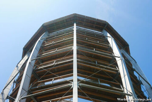 Top of the Avondale Forest Park Viewing Tower