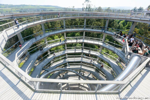 Top of the Avondale Forest Park Viewing Tower
