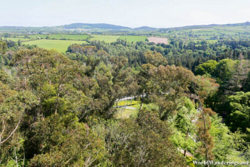 Above the Avondale Forest Park