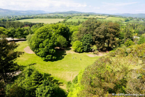 View from the Avondale Forest Park Viewing Tower