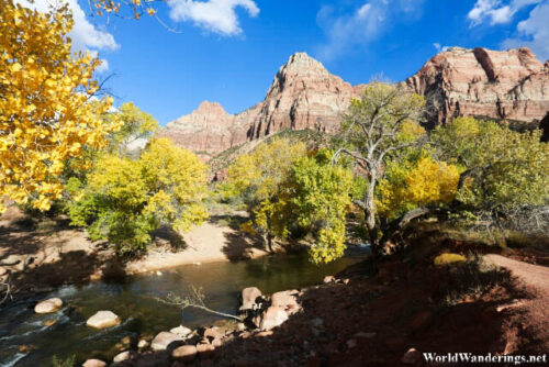Small Stream at Zion National Park