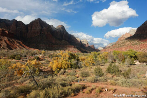 Panorama at Zion National Park