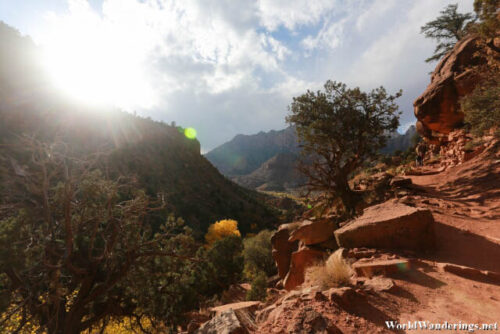 View from a Switchback Along the Watchman's Trail in Zion National Park