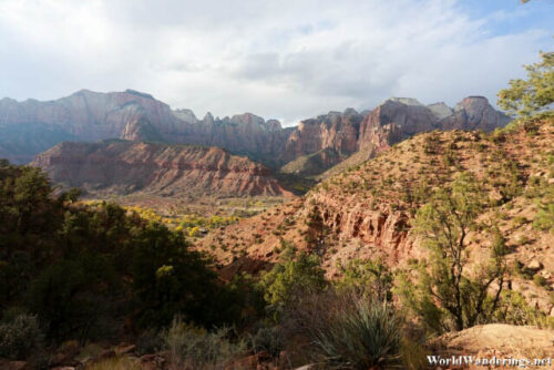 View from Along the Watchman's Trail