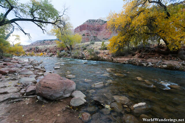 Looking at the Virgin River