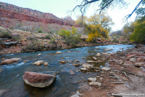 On the Shores of the Virgin River in Zion National Park