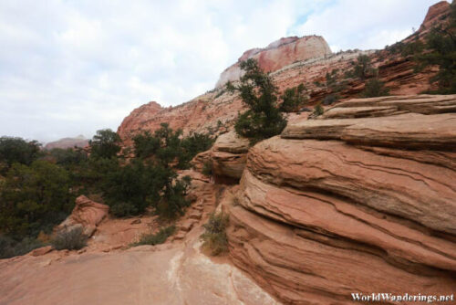 Layers of Rock along the Trail to Canyon Overlook at Zion National Park