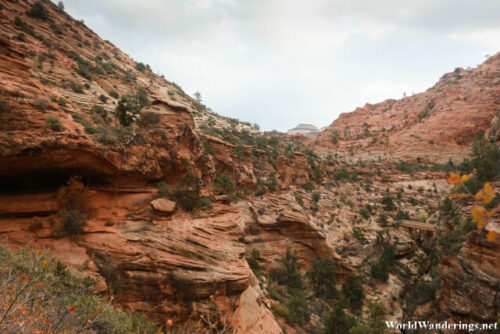 Can You See the Trail?