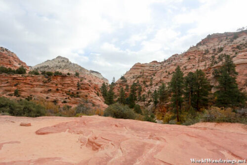 View from a Pullout at Zion National Park