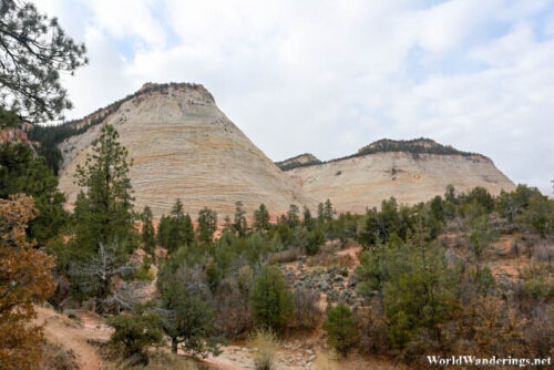 View of Checkerboard Mesa at Zion National Park