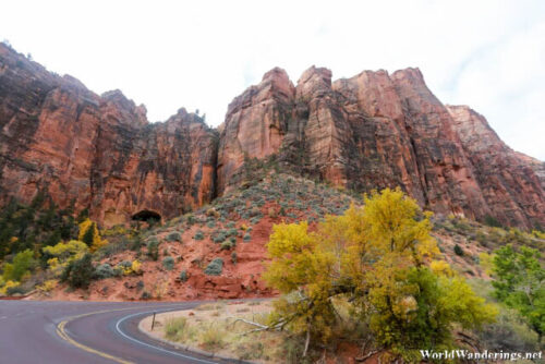 Steep Canyon Walls at Zion National Park