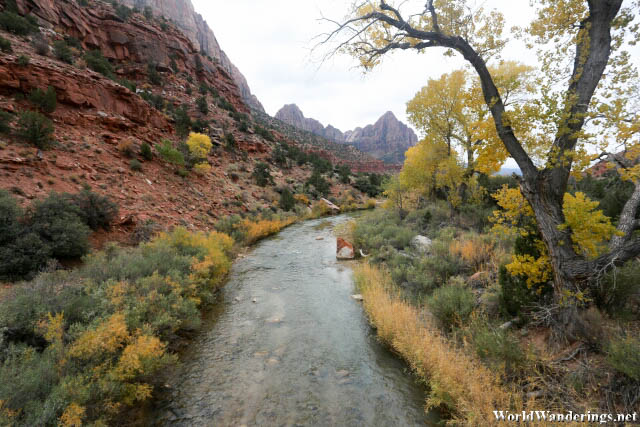 Crossing the Virgin River at Zion National Park