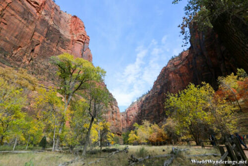 Walking Along the Virgin River at Zion National Park