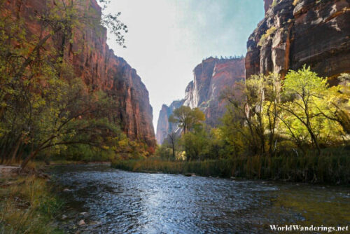 Walking Along the Virgin River at Zion National Park