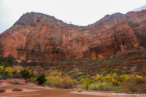 Wall of Sandstone at the Big Bend in Zion National Park