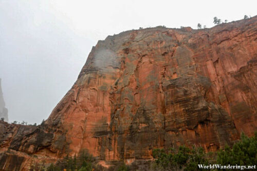 Steep Slope at Zion National Park