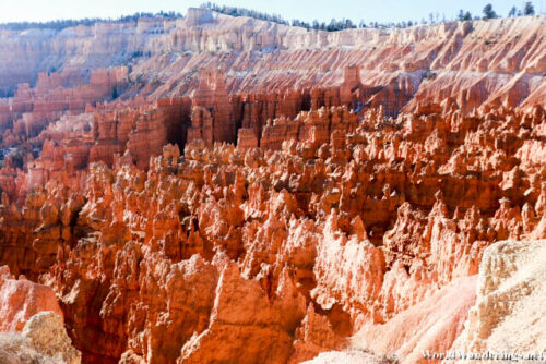 Closer Look at the Hoodoos at Bryce Canyon National Park