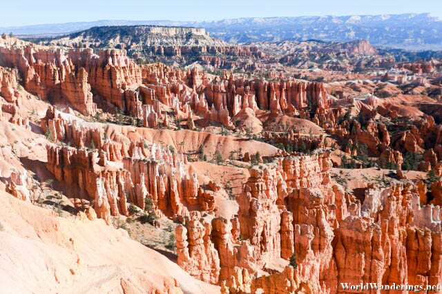 Hoodoos at Bryce Canyon National Park