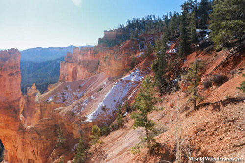 Ice Covered Slope at Bryce Canyon National Park